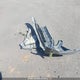 2T3B1RFV1NC322485 2022 Toyota Rav4 Le auction photo thumbnail 12