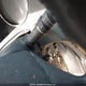 5NPEB4AC7DH707928 2013 Hyundai Sonata Gls auction photo thumbnail 11