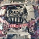 1FADP3F22DL347489 2013 Ford Focus Se auction photo thumbnail 10
