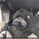WB10E6303P6G74828 2023 BMW S 1000 Rr auction photo thumbnail 10