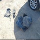 2HGFC1F4XGH113379 2016 Honda Civic Ex-T auction photo thumbnail 12
