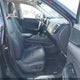 2T2GGCEZXSC071620 2025 Lexus Nx 350 auction photo thumbnail 5