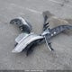 KNDEP2AA7R7490994 2024 Kia Seltos Lx auction photo thumbnail 12