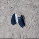 5N1AT2MV4LC707999 2020 Nissan Rogue auction photo thumbnail 12