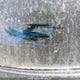5N1AT2MV4LC707999 2020 Nissan Rogue auction photo thumbnail 18