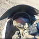 JKAEX8A10DDA14578 2013 Kawasaki Ex300 A auction photo thumbnail 7