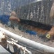 5FNRL38178B508783 2008 Honda Odyssey Lx auction photo thumbnail 18