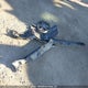 2HGFC2F54KH023653 2019 Honda Civic Lx auction photo thumbnail 12