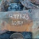 1FDWF36S6YEB55763 2000 Ford F-350 Lariat/Xl/Xlt auction photo thumbnail 11