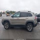 1C4PJMBX3KD193043 2019 Jeep Cherokee Trailhawk auction photo thumbnail 14