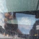 1FMCU9D76CKA11053 2012 Ford Escape Xlt auction photo thumbnail 18
