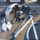 58ADZ1B10PU151527 2023 Lexus Es 350 350 auction photo thumbnail 21