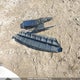 2HGFC1F44GH105360 2016 Honda Civic Ex-T auction photo thumbnail 12