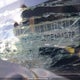 3C6TRVNG3GE101578 2016 Ram Promaster 1500 1500 Standard auction photo thumbnail 16