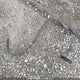 1FTBR1C82MKA21321 2021 Ford Transit-250 Cargo auction photo thumbnail 12