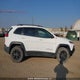 1C4PJMBS7HW638384 2017 Jeep Cherokee Trailhawk auction photo thumbnail 14