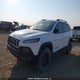 1C4PJMBS7HW638384 2017 Jeep Cherokee Trailhawk auction photo thumbnail 2