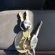 3GCNWAEF9MG288321 2021 Chevrolet Silverado C1500 auction photo thumbnail 11