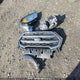 MAJ6P1WL4JC212290 2018 Ford Ecosport Titanium auction photo thumbnail 12