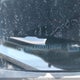 1FTFW3L8XRKD19953 2024 Ford F150 Xlt auction photo thumbnail 19