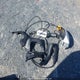 JHMZC5F11JC800266 2018 Honda Clarity Plug-In Hybrid auction photo thumbnail 12