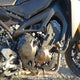 JYARN37N5GA000720 2016 Yamaha Fj09 auction photo thumbnail 8
