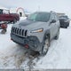 1C4PJMBS8GW186301 2016 Jeep Cherokee Trailhawk auction photo thumbnail 2