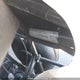 2C9T20P42P2145009 2023 Campagna T-Rex auction photo thumbnail 13