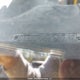 1J4GA64129L751057 2009 Jeep Wrangler auction photo thumbnail 18