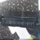2T3DFREV9HW576721 2017 Toyota Rav4 Limited/Se/Platinum auction photo thumbnail 9