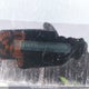 2T1BU4EE3BC699786 2011 Toyota Corolla S/Le auction photo thumbnail 20