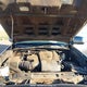 3TYDZ5BN8PT035989 2023 Toyota Tacoma auction photo thumbnail 10