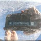 3GCUDCE89RG431483 2024 Chevrolet Silverado 1500 Custom Trail Boss auction photo thumbnail 20