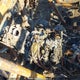 5Y4AME4W0GA300444 2016 Yamaha Yxe700 E auction photo thumbnail 10