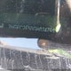 2HGFC2F50GH024791 2016 Honda Civic Lx auction photo thumbnail 18