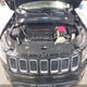 3C4NJDDB1MT598730 2021 Jeep Compass Trailhawk auction photo thumbnail 10