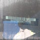 5N1AT3BBXMC731255 2021 Nissan Rogue Sv auction photo thumbnail 19