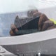 JM1BK343171719626 2007 Mazda Mazda3 Gs/Gt auction photo thumbnail 9