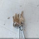 47CF60N28WG091410 1998 Dutchmen Dutchman auction photo thumbnail 11
