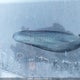 JM3ER293870156857 2007 Mazda Cx-7 auction photo thumbnail 19