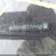5YFB4RBE7LP010206 2020 Toyota Corolla Xse auction photo thumbnail 9