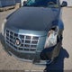 1G6DS1E32D0101635 2013 Cadillac Cts Premium Collection auction photo thumbnail 6