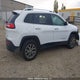 1C4PJMCB7EW242790 2014 Jeep Cherokee Latitude auction photo thumbnail 13