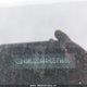 KM8J2CA44HU579186 2017 Hyundai Tucson Se auction photo thumbnail 9