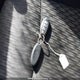 5N1AT2MV4KC792857 2019 Nissan Rogue S/Sl/Sv auction photo thumbnail 11