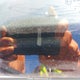 JTDKT923565020560 2006 Toyota Yaris Le/Rs auction photo thumbnail 19