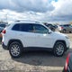 1C4PJMDSXFW702069 2015 Jeep Cherokee auction photo thumbnail 13