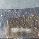 KNADM4A30E6408263 2014 Kia Rio Ex/Ex+/Lx/Lx+/Sx auction photo thumbnail 9
