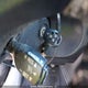 2T1BURHE8EC168757 2014 Toyota Corolla L/Le/Le Pls/Prm/S/S Pls auction photo thumbnail 11