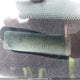 1FAFP44451F160406 2001 Ford Mustang auction photo thumbnail 9